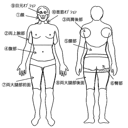 施術部位