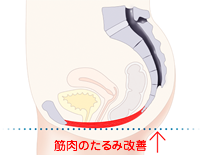 毛根への栄養補給